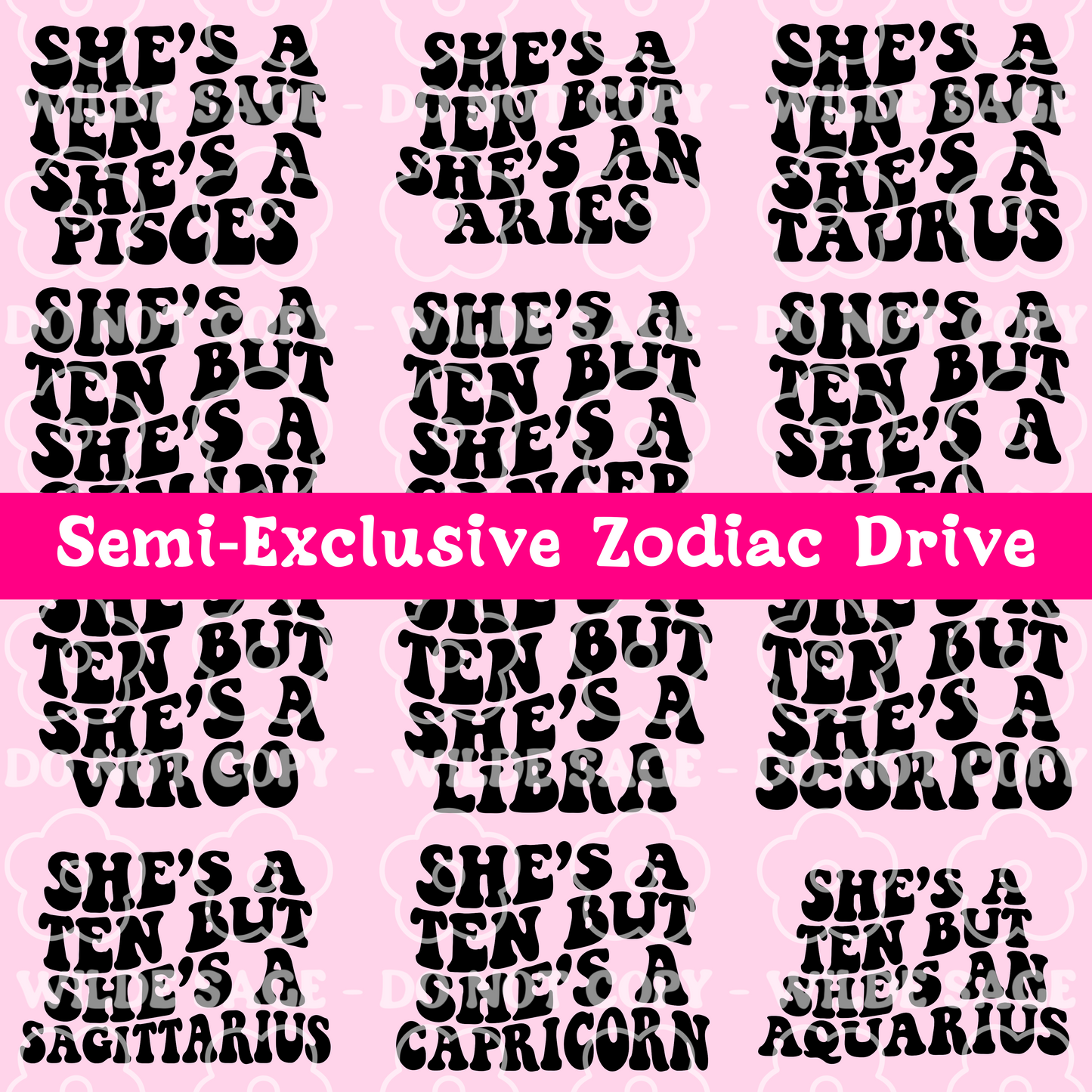 Complete Zodiac Set Freshie PNGs