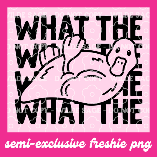 What The Freshie PNG and STL