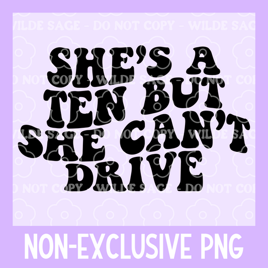 Wavy Driving Freshie PNG