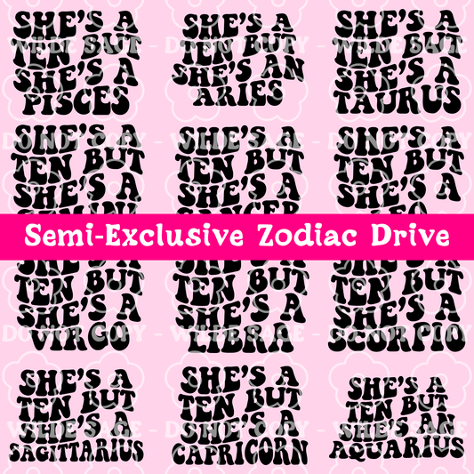 Complete Zodiac Set Freshie PNGs