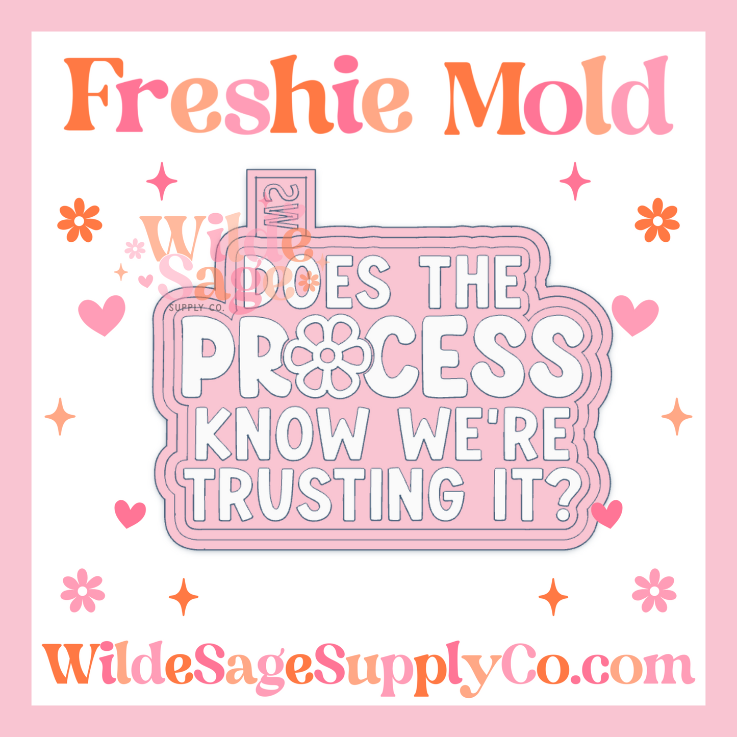 Trust the Process Mold