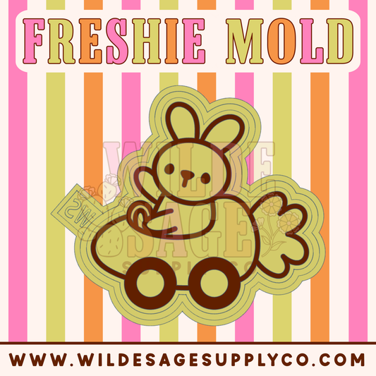 Easter Bunny Car Mold